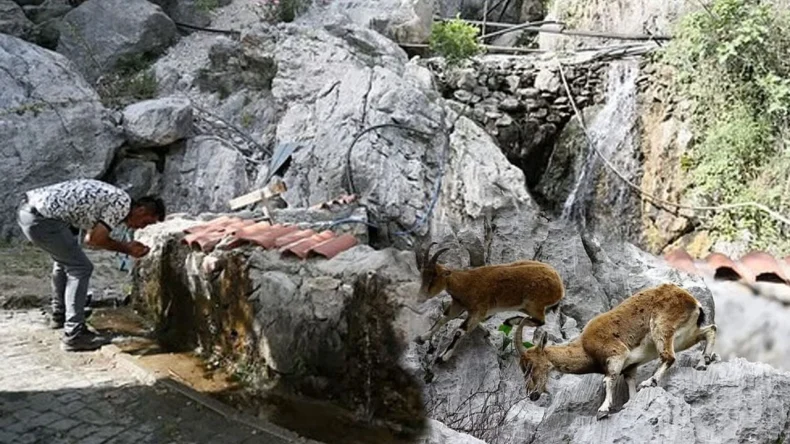 Aykırtça şelalesi kuruyor